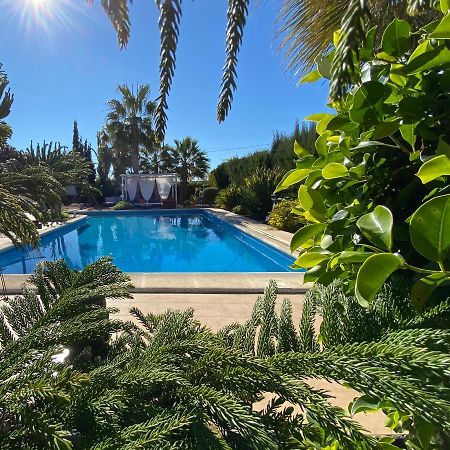 Вилла Vacaciones La Marina Costa Blanca Экстерьер фото