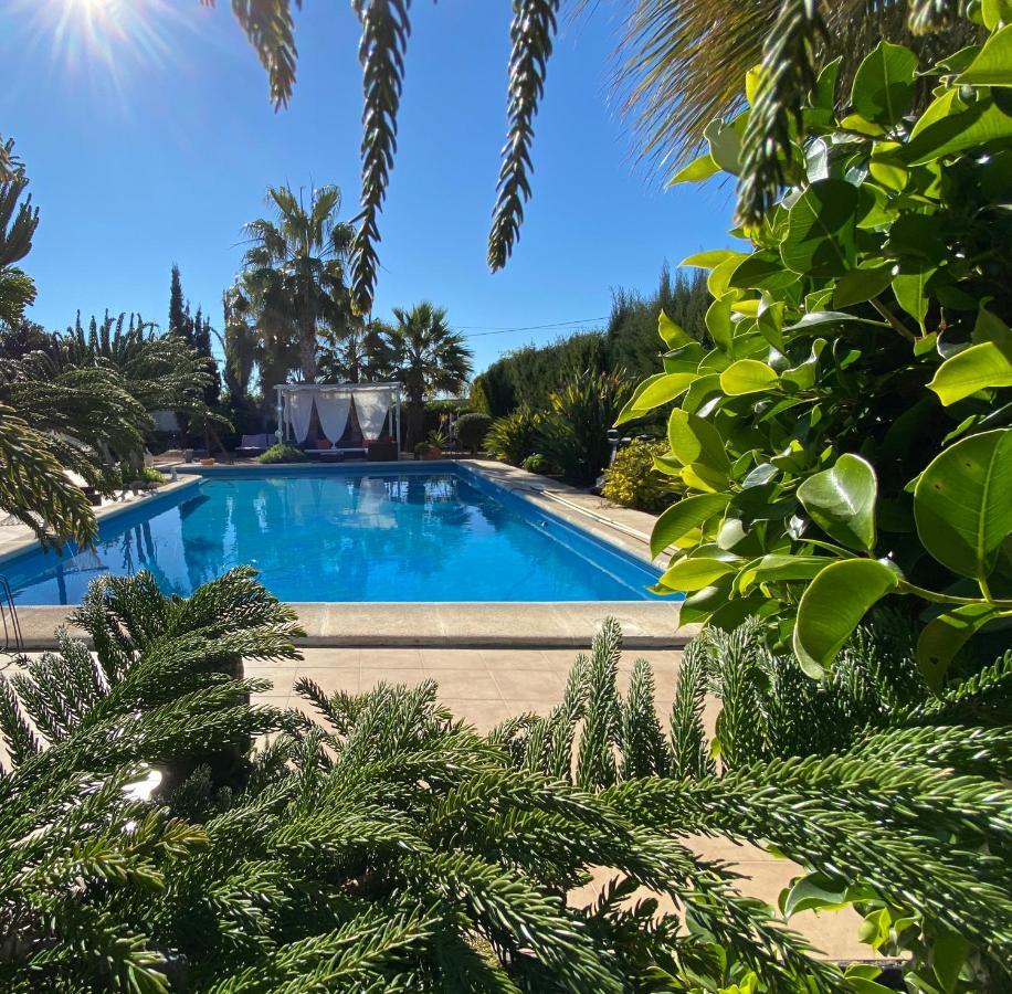 Вилла Vacaciones La Marina Costa Blanca Экстерьер фото